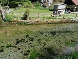 Wimsener Hoehle 10.05.2020 (28)